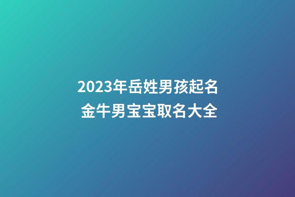 2023年岳姓男孩起名 金牛男宝宝取名大全